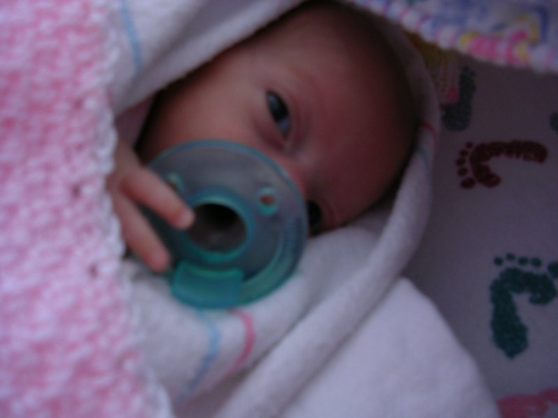 maggie9-9 (1)